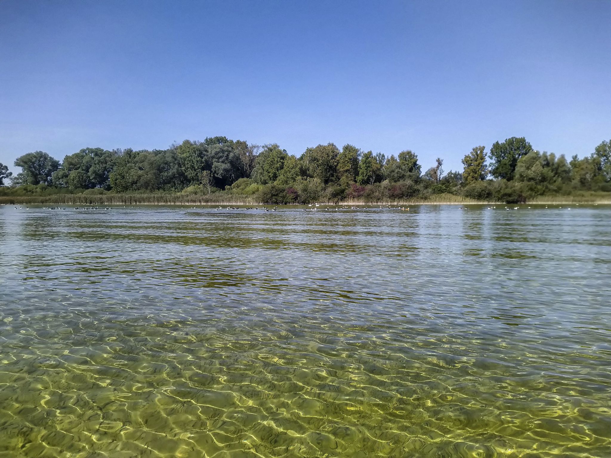 Kajaktour Ammersee Stegen 25.09.2021